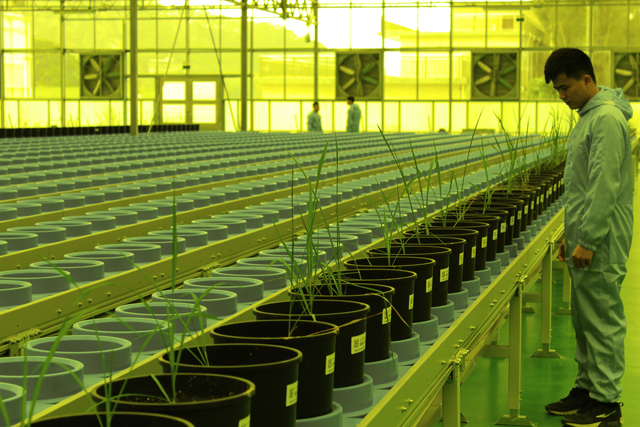 萬賓科技攻克“十三五”關鍵技術和產品，實現作物表型平臺中國智造(圖3)