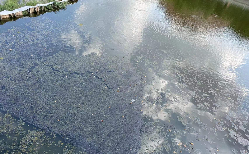 萬賓智能監(jiān)測產(chǎn)品應用于廈門埭頭溪流域綜合治理智慧平臺項目(圖3) 萬賓智能監(jiān)測產(chǎn)品應用于廈門埭頭溪流域綜合治理智慧平臺項目(圖3)